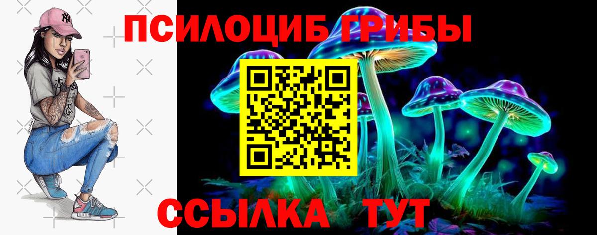 Псилоцибиновые грибы Psilocybe Новодвинск