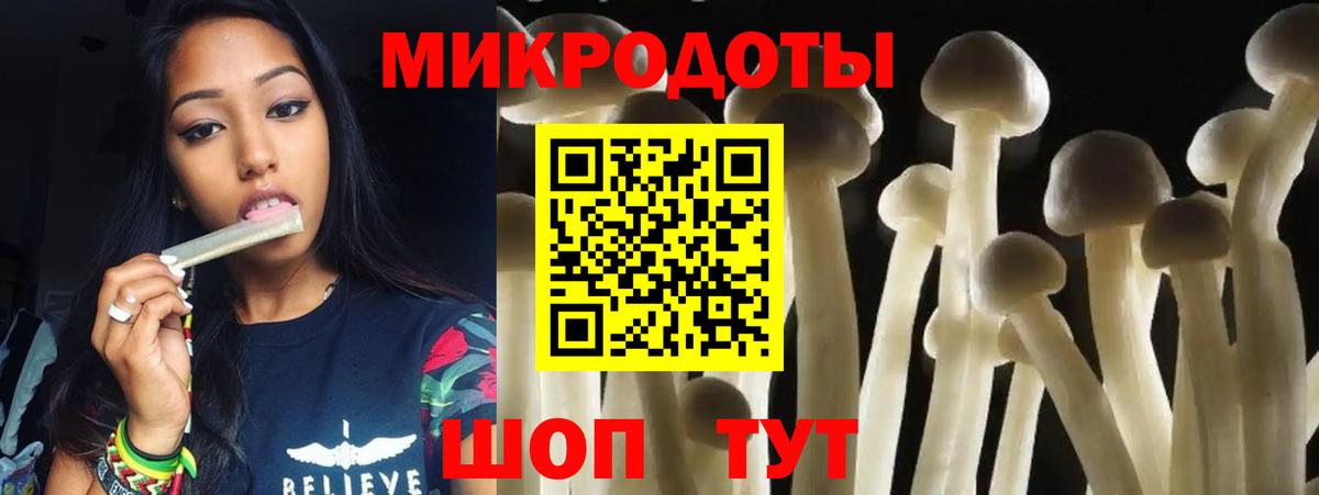 Псилоцибиновые грибы Psilocybe  Галлюциногенные грибы мухоморы  Вход с VPN  Новодвинск 