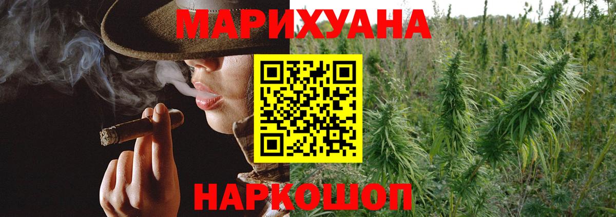 Конопля OG Kush Новодвинск